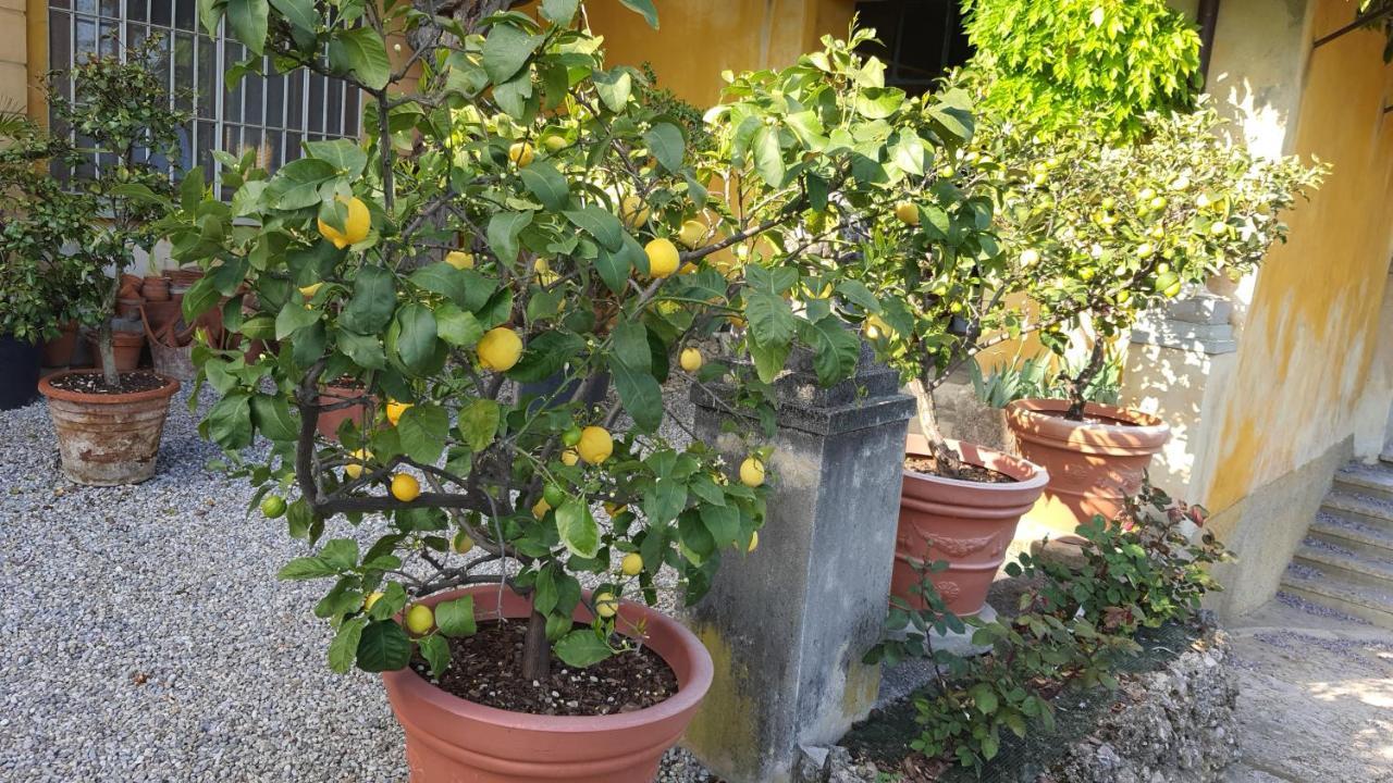 B&B Villa Sant'Anna แบร์กาโม ภายนอก รูปภาพ