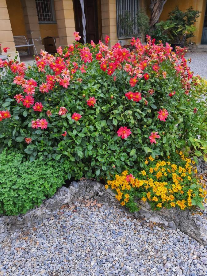 B&B Villa Sant'Anna แบร์กาโม ภายนอก รูปภาพ