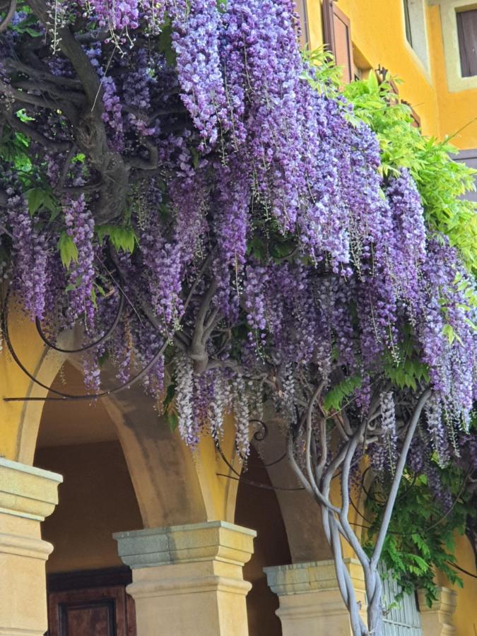 B&B Villa Sant'Anna แบร์กาโม ภายนอก รูปภาพ