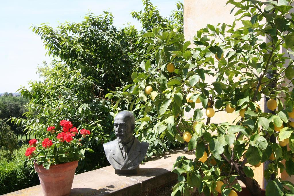 B&B Villa Sant'Anna แบร์กาโม ภายนอก รูปภาพ